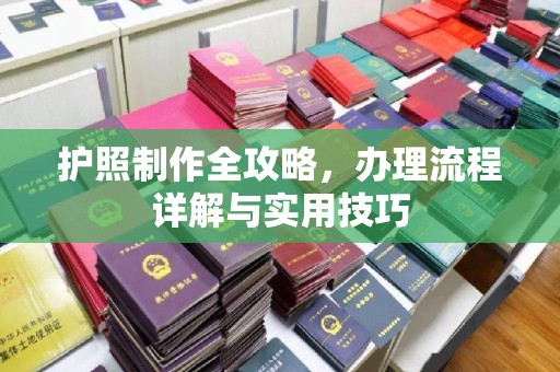 金州新区护照制作全攻略，办理流程详解与实用技巧